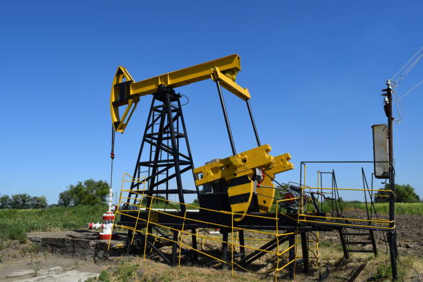 Wellhead valve tree in a muddy field